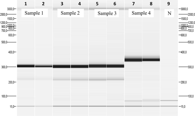 Fig. 2