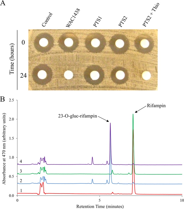 Fig 4