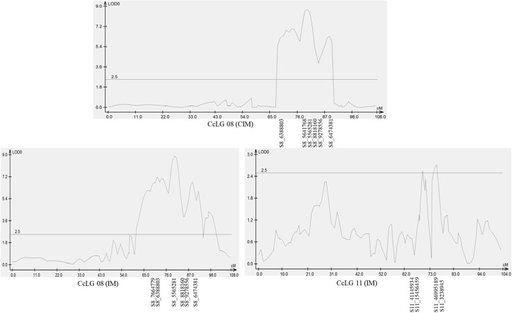 Fig. 2