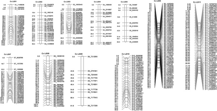 Fig. 1