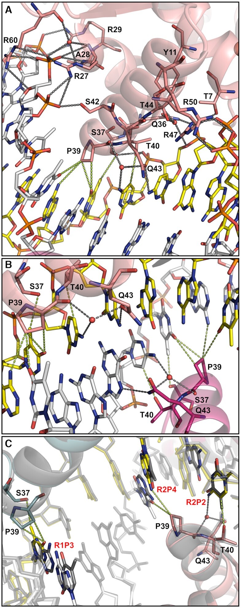 Figure 4.