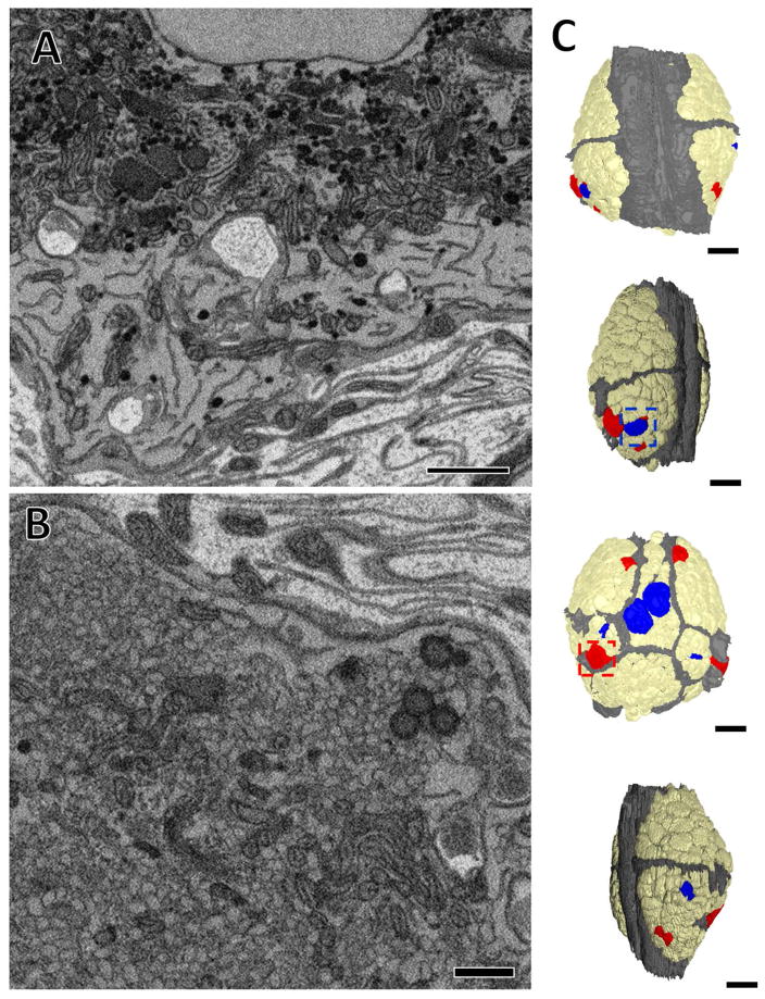 Figure 10