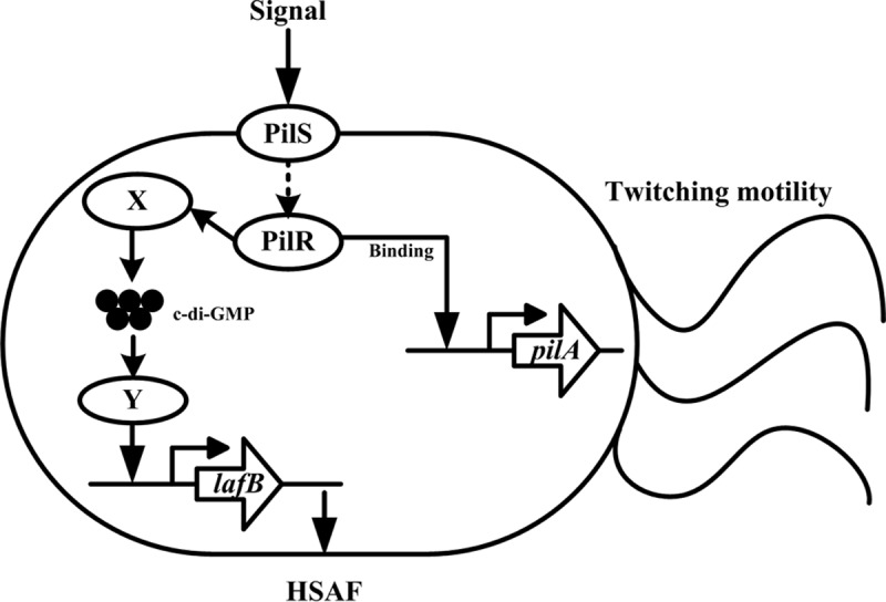 FIG 9