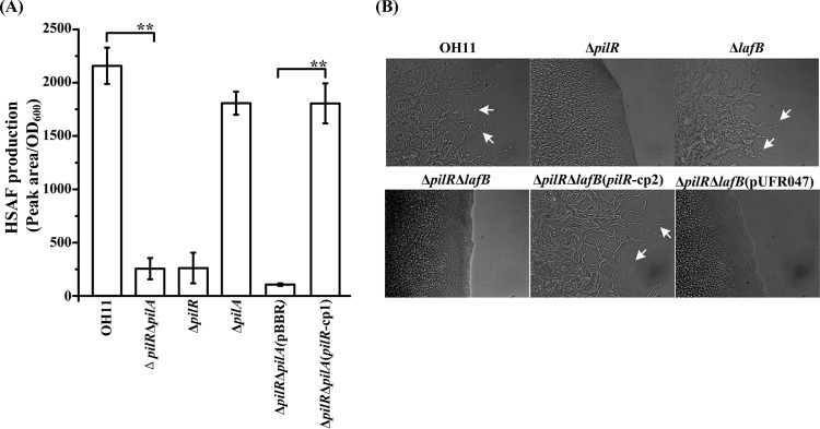 FIG 8