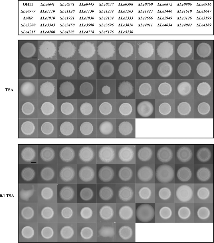 FIG 2