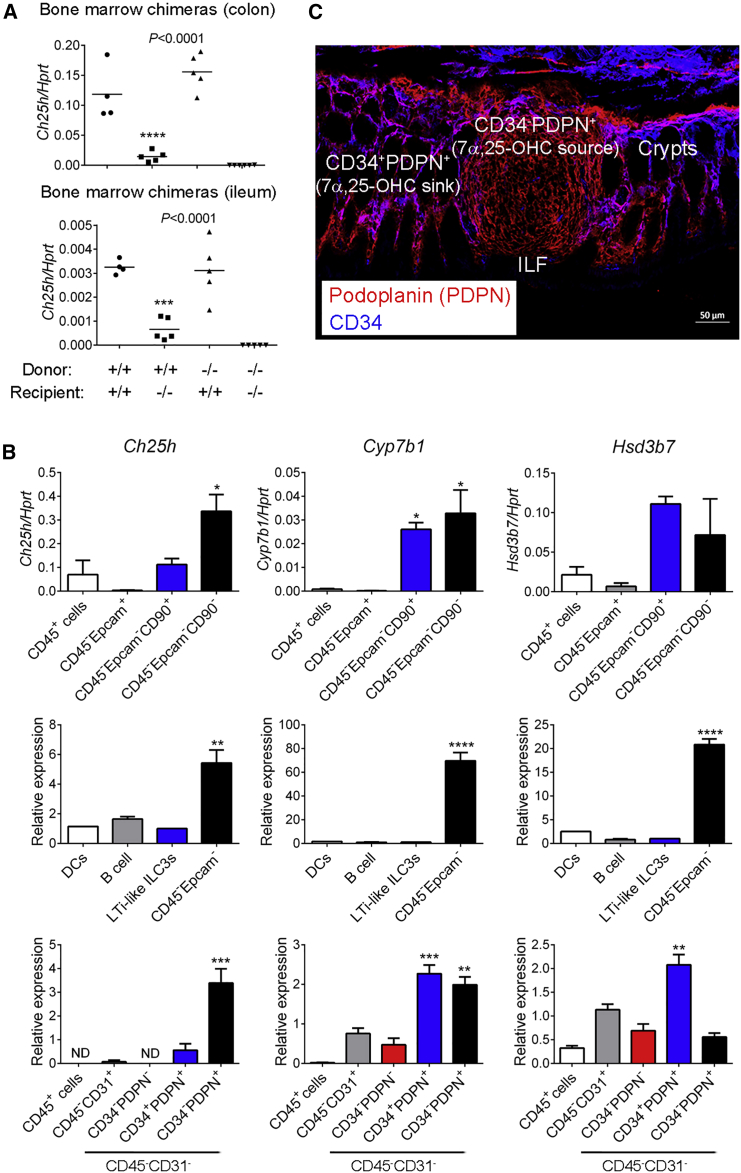 Figure 6