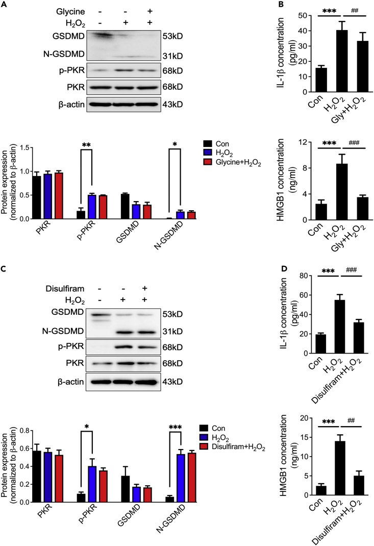 Figure 6