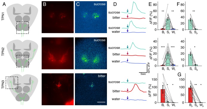 Figure 3.