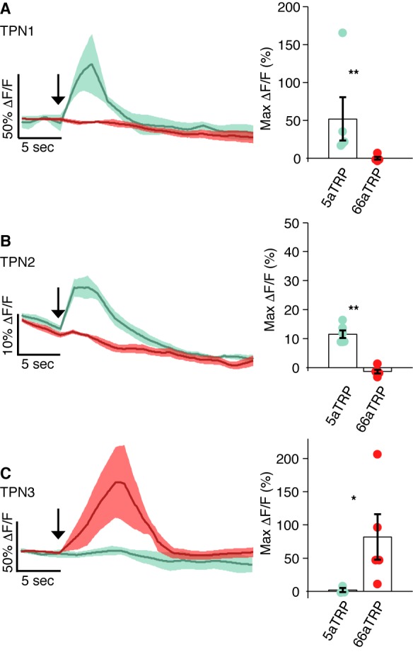 Figure 3—figure supplement 1.