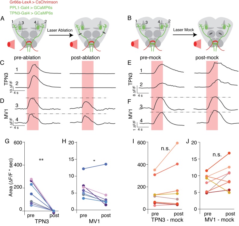 Figure 10.