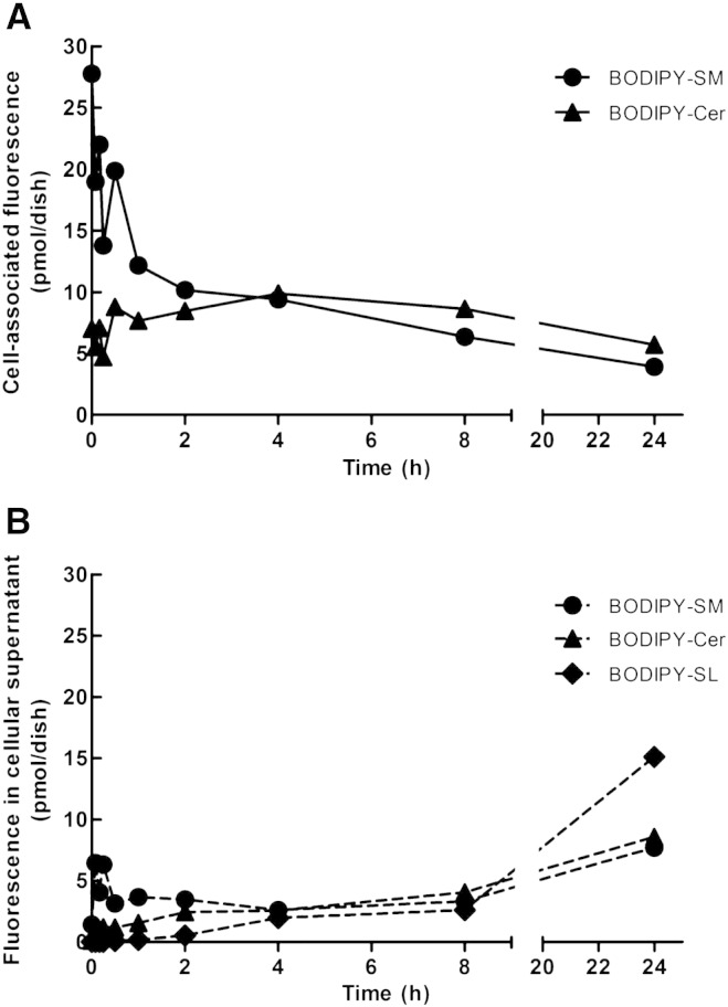 Fig. 6