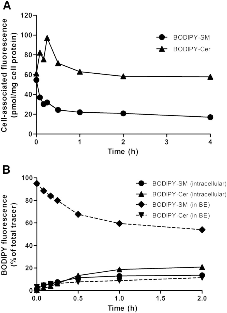 Fig. 7