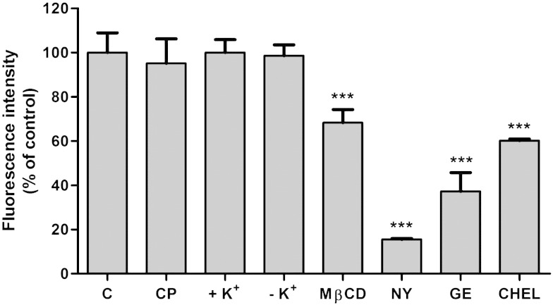 Fig. 4