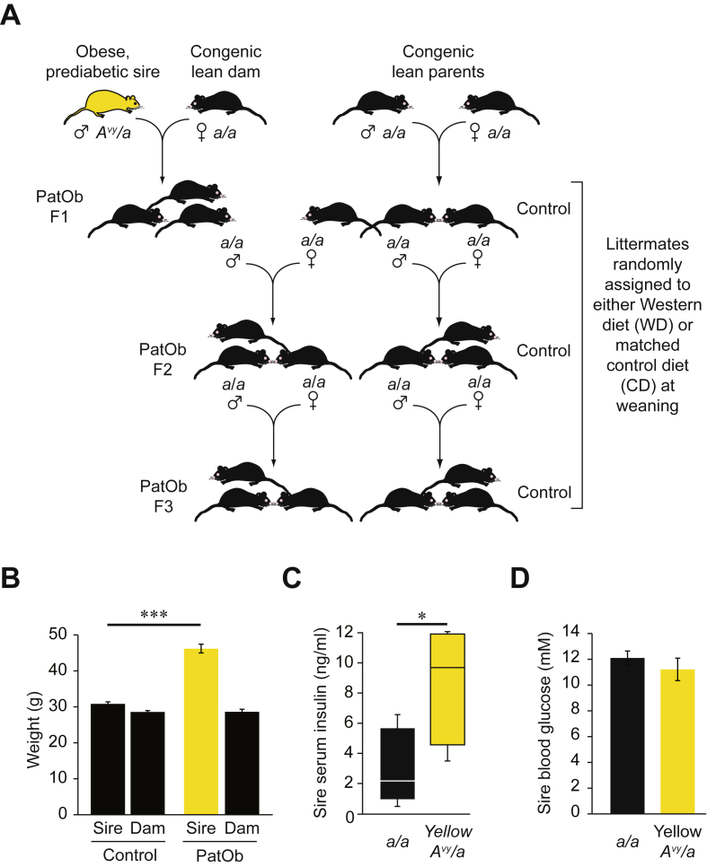 Figure 1