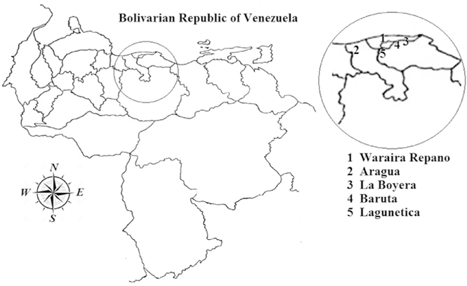 Fig. 7.