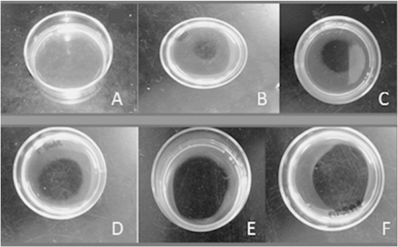 Fig. 5.