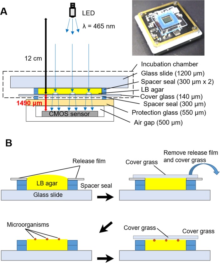 Fig 1