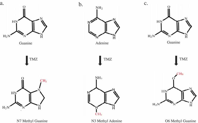 Figure 2.