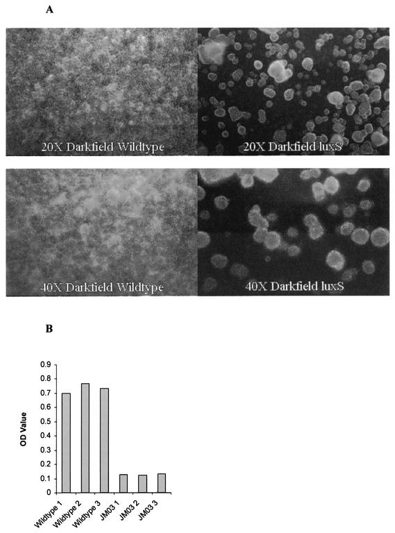 FIG. 5.