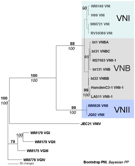 Figure 7