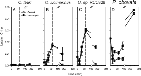 Figure 7.