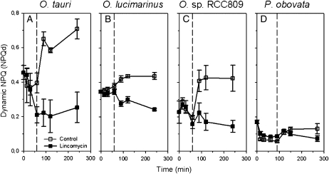 Figure 9.