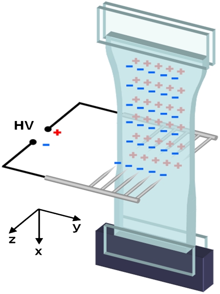 Fig. 1.