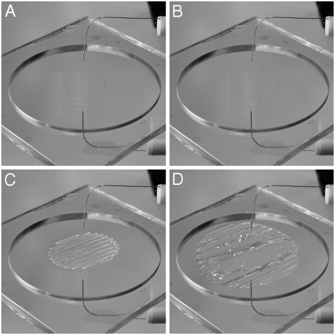 Fig. 4.