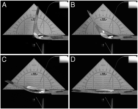 Fig. 5.