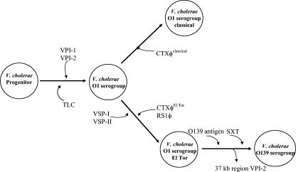 FIG. 7.