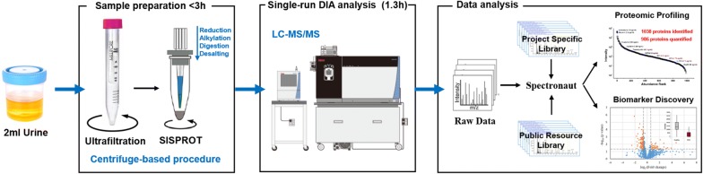 Fig. 1