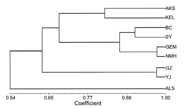 Fig. 9