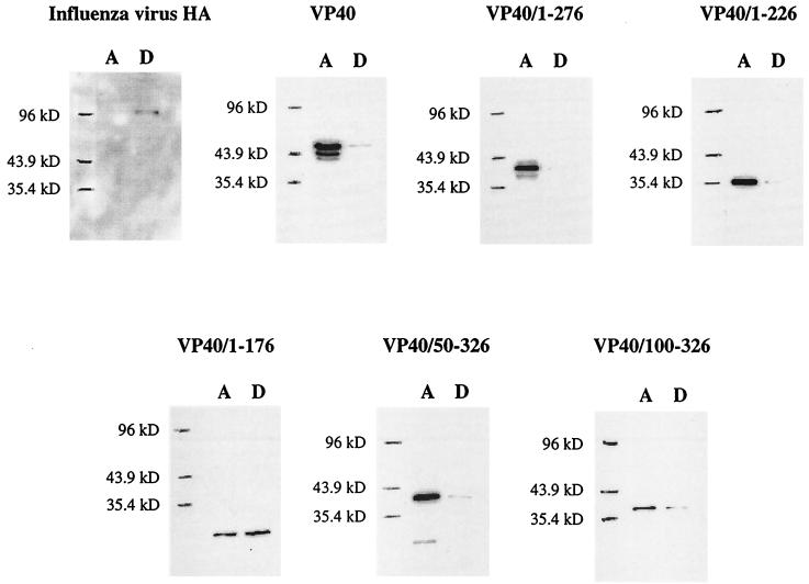 FIG. 7