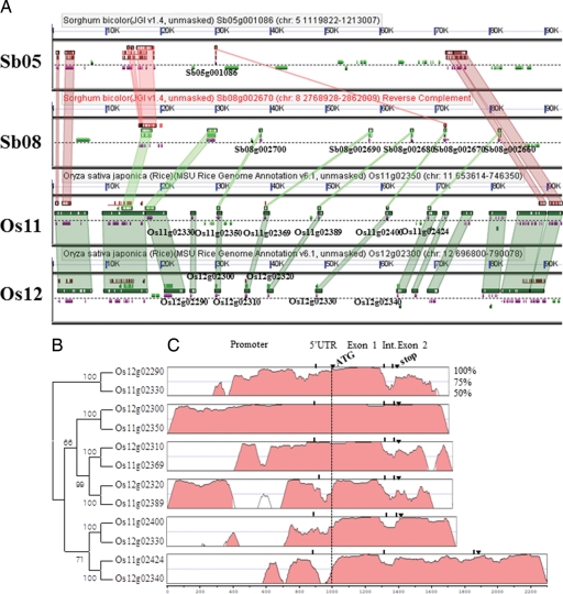 Figure 3.