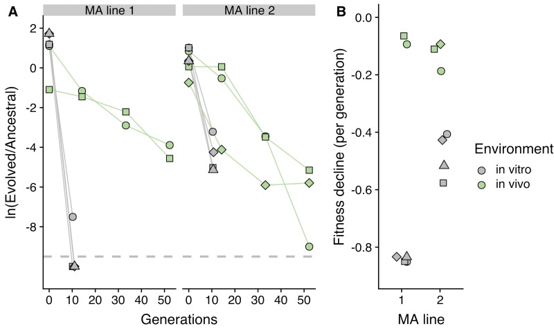 Fig 4