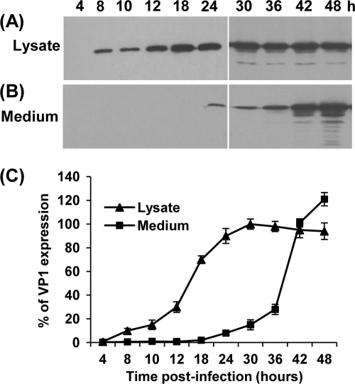 FIG. 4.