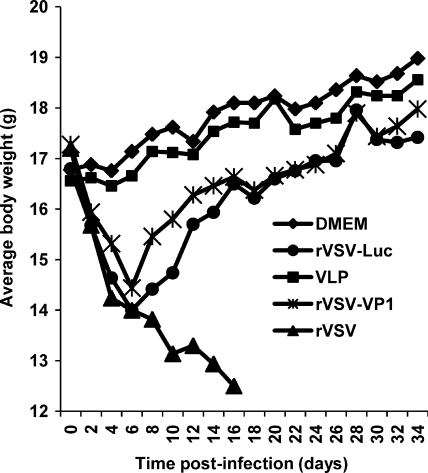 FIG. 6.