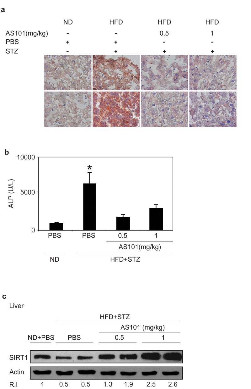 Figure 5