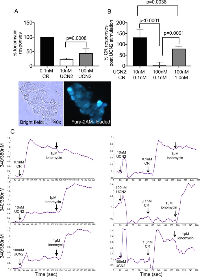 Fig 6