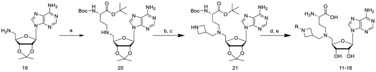 Scheme 1