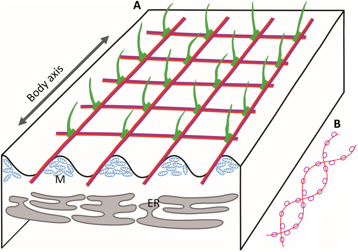 Fig. 9.