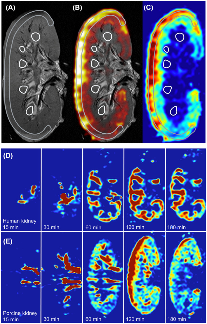 FIGURE 3