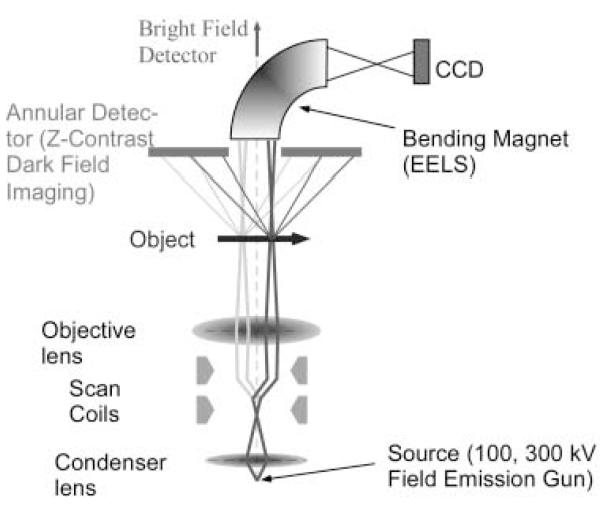 Figure 33