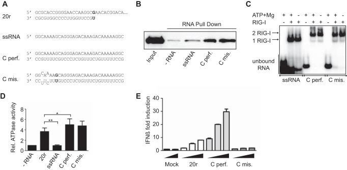 FIG 1