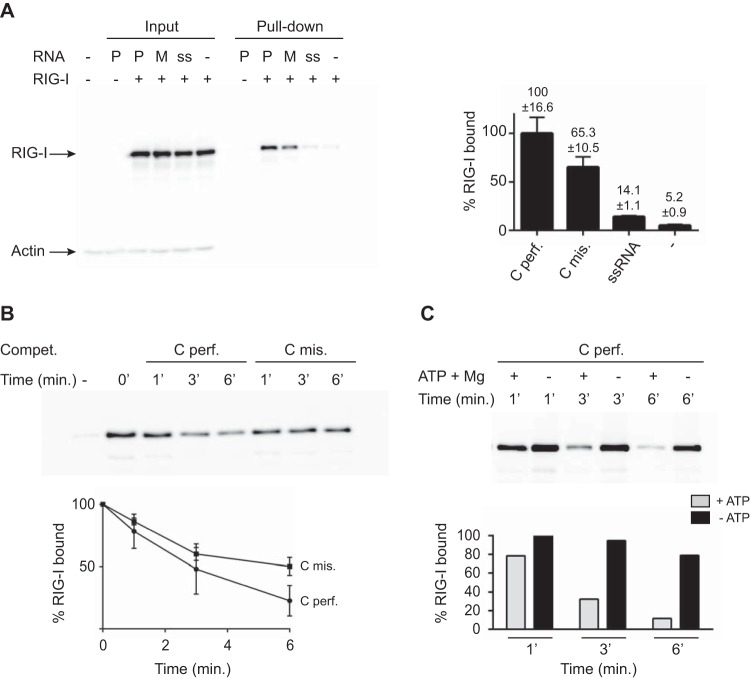 FIG 4