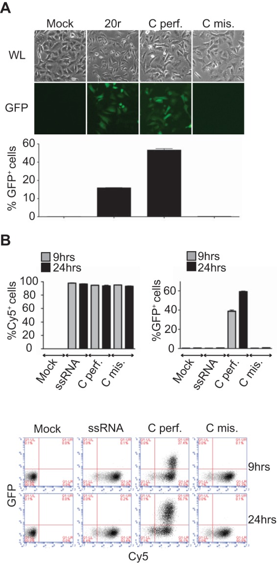 FIG 2