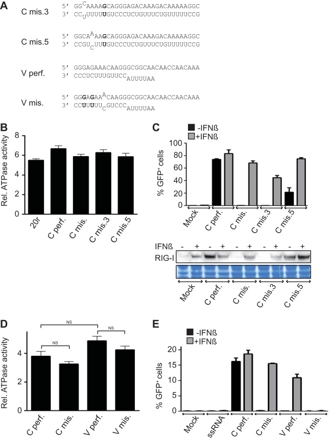 FIG 3