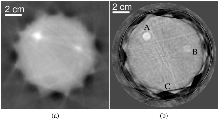 Fig. 19