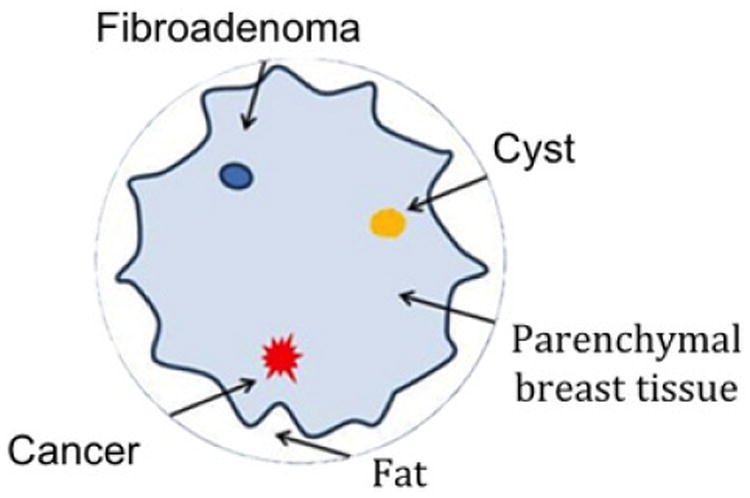 Fig. 16