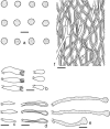 Fig. 9